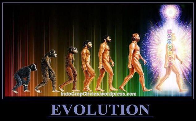 evolution evolusi to endigo